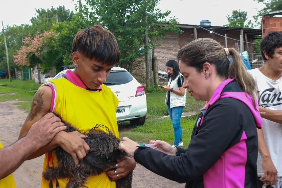 Barranqueras: el municipio continúa con los operativos de vacunación antirrábica