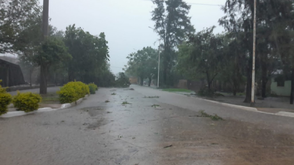 Temporal en La Eduvigis: calles inundadas y árboles caídos