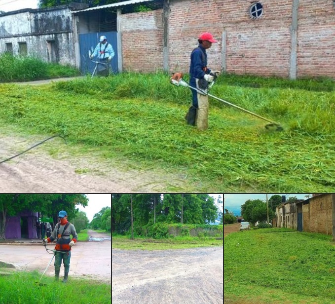 Continúan los trabajos de mantenimiento de espacios verdes en La Leonesa