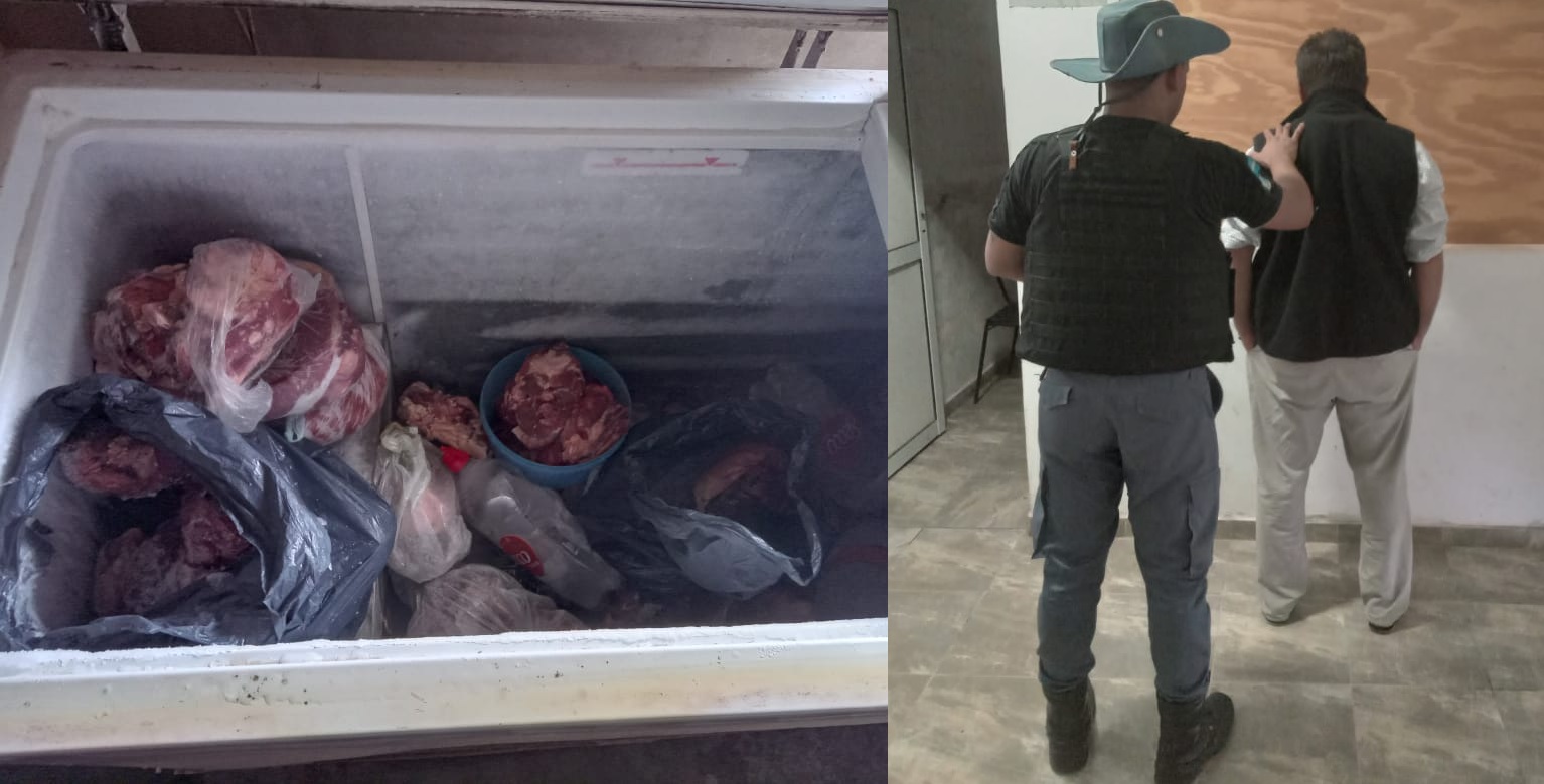 Villa Ángela: secuestran 40 kilos de carne cuatrereada y detienen a un hombre