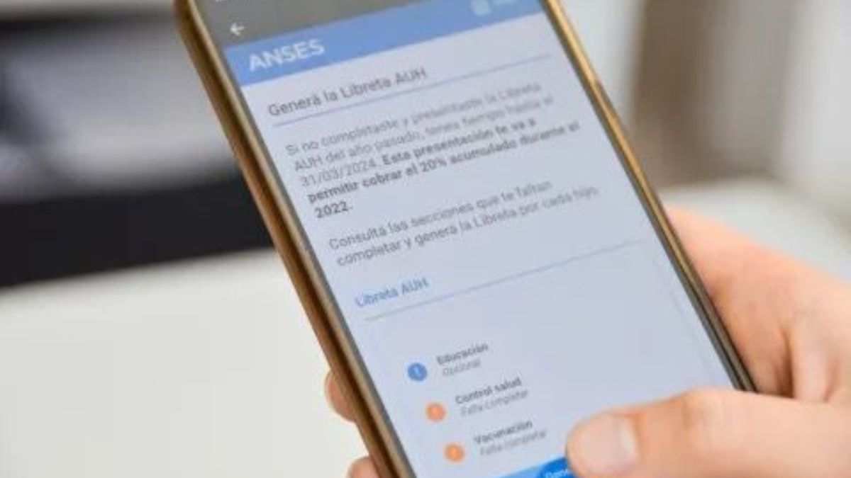 Anses: ya se puede presentar la Libreta AUH del 2025