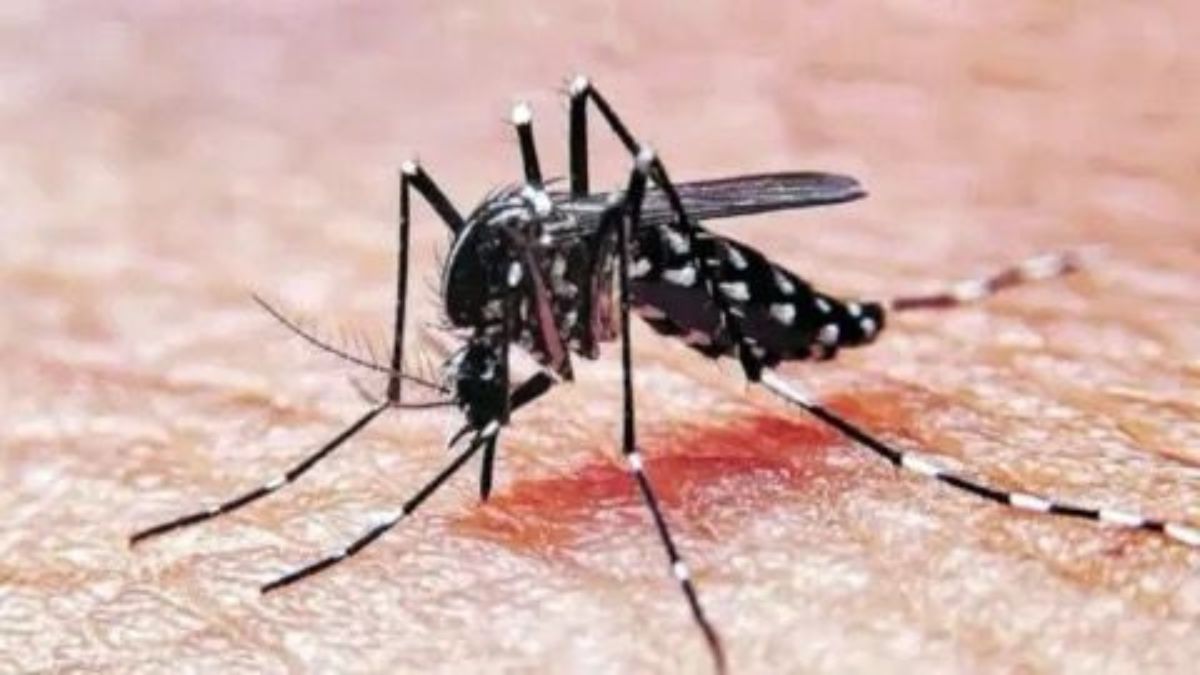 Confirmaron la primera muerte por dengue en Santa Fe