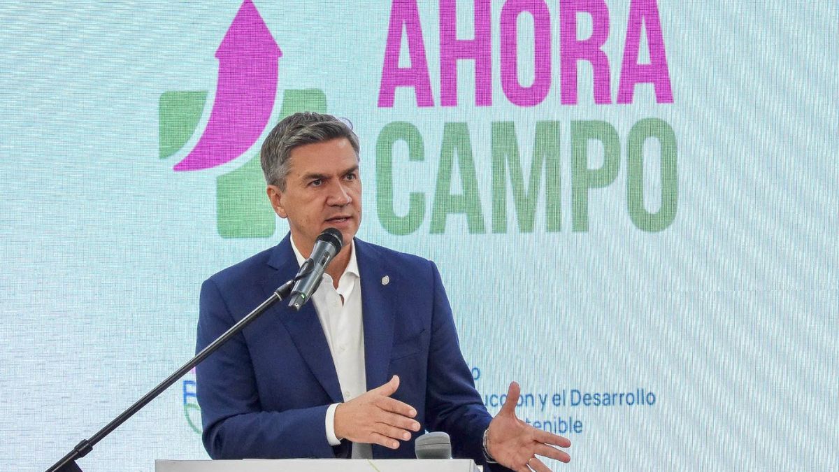 El Gobierno del Chaco lanzó el programa  