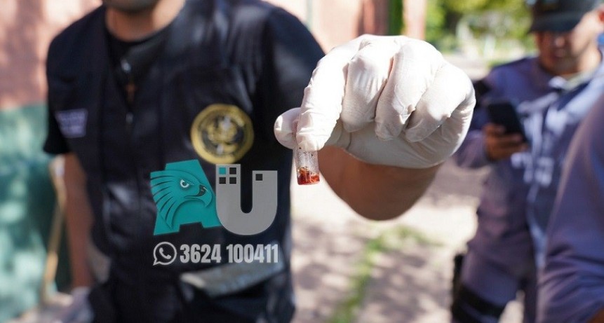 Se deshicieron de casi dos kilos de marihuana y huyeron en moto  