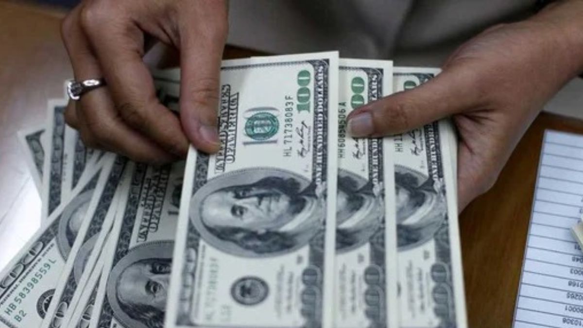 Rápido derrumbe de la compra de dólares luego de que se disparó el día de la apertura del cepo