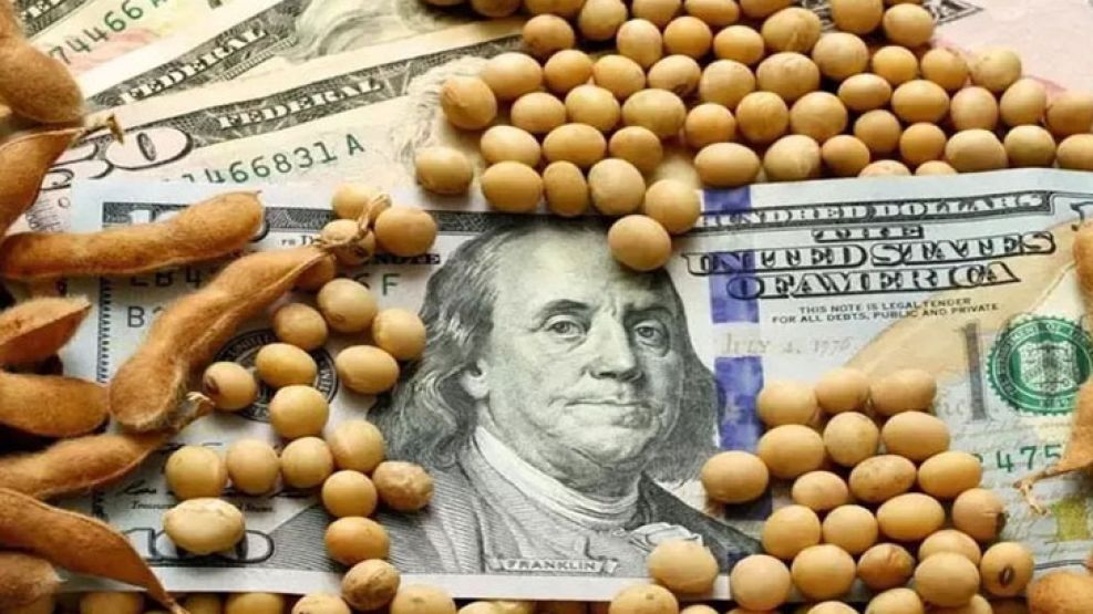 Dólar en baja: productores venderán solo lo necesario para cubrir compromisos
