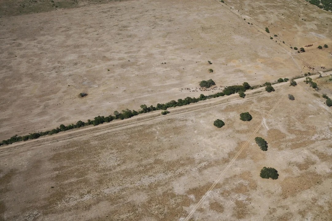 La Nación reglamentó la emergencia agropecuaria en el Chaco