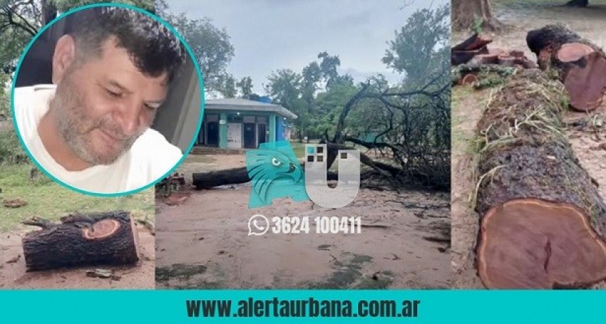 Denuncian una tala indiscriminada en el camping municipal de Villa Río Bermejito