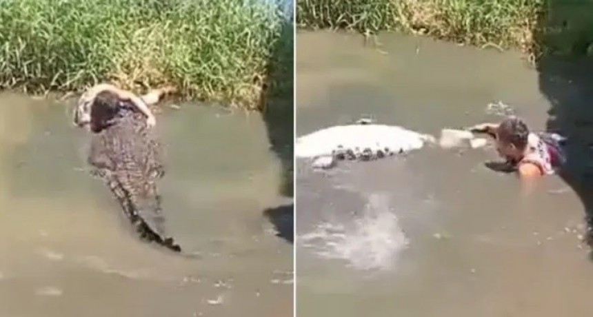 Se metió en una jaula de cocodrilos para sacarse una selfie y uno le mordió un brazo