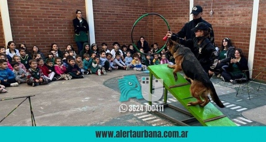 Ejemplares de la División Canes realizaron una exhibición por el Día del Animal