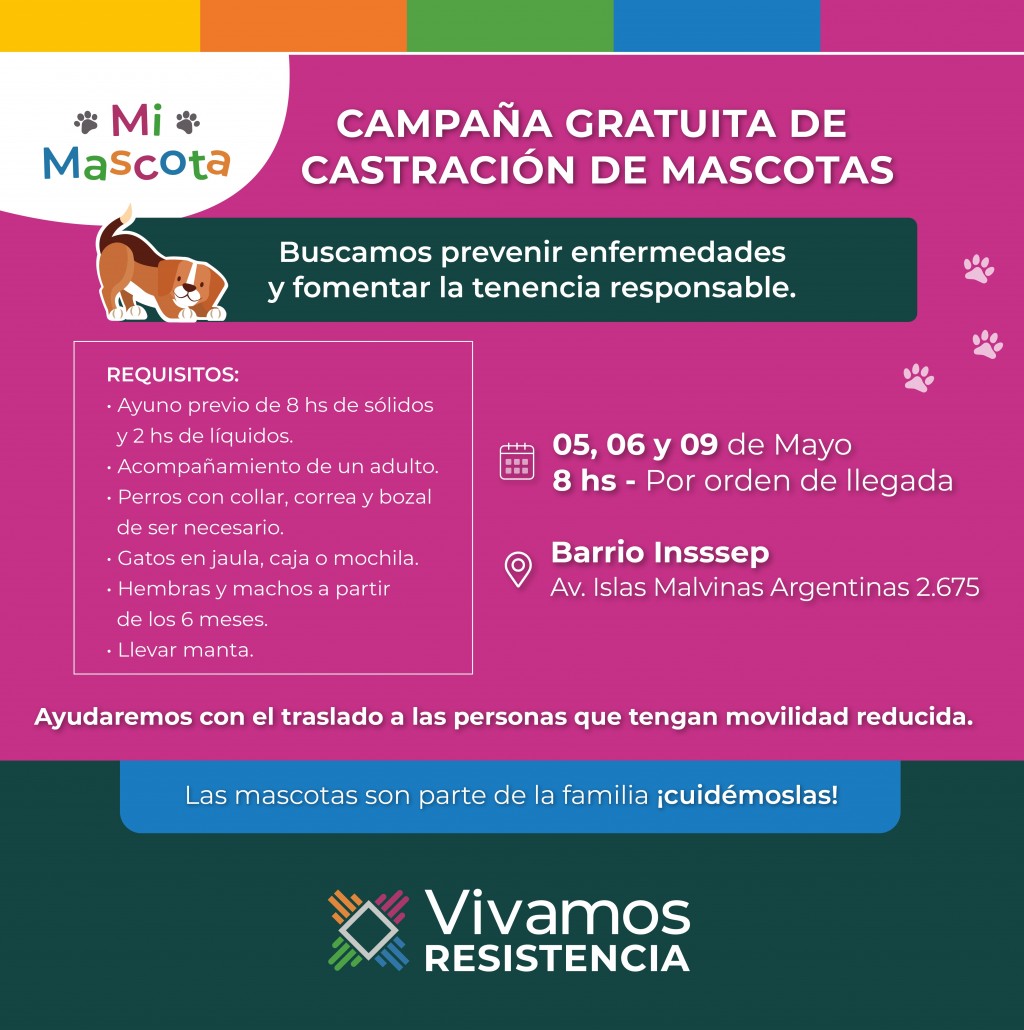 Mi mascota este viernes contin a la castraci n gratuita de