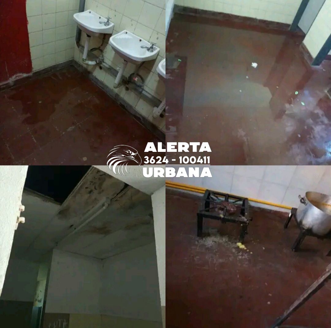 Reclaman por el deplorable estado de los baños en la Escuela Nro. 3 “Antártida Argentina”