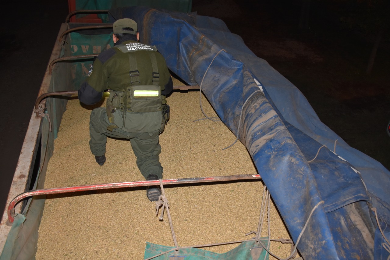 Decomisan más de 60 toneladas de soja en Sáenz Peña y 30 toneladas de maíz en Resistencia