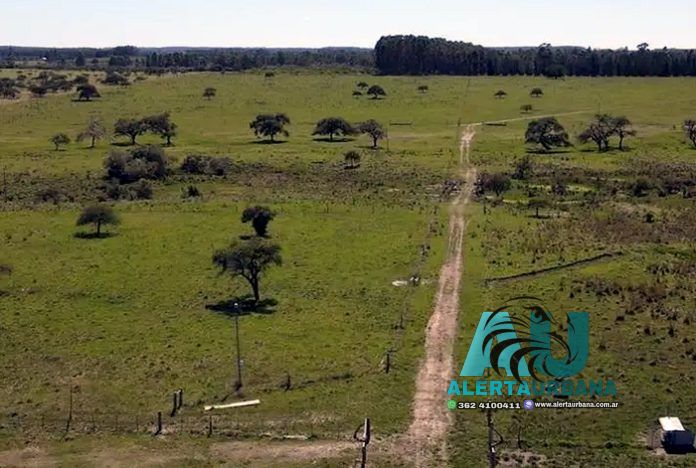 Nación presentó cuatro nuevas reservas naturales, una de ellas en Corrientes
