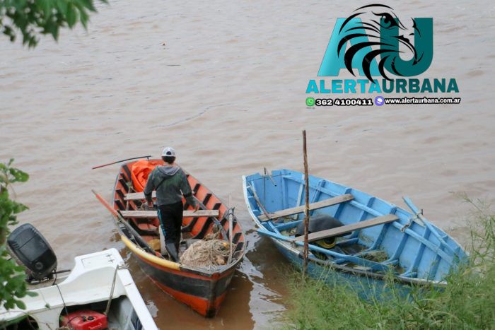 Ambiente: Chaco marca una evolución poblacional de peces en el Río Paraná