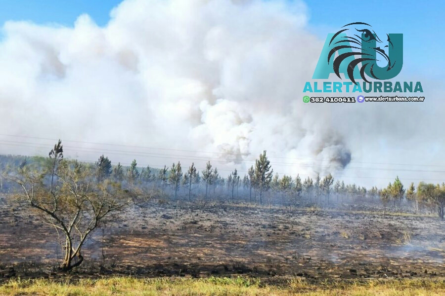 Corrientes: autorizan quemas controladas en toda la provincia
