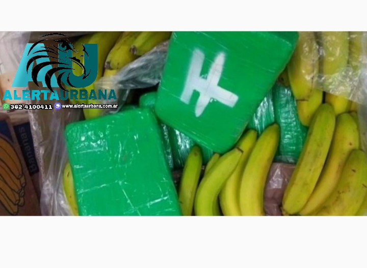 Decomisaron en Salta más de 100 kilos de cocaína ocultos en un cargamento de bananas 