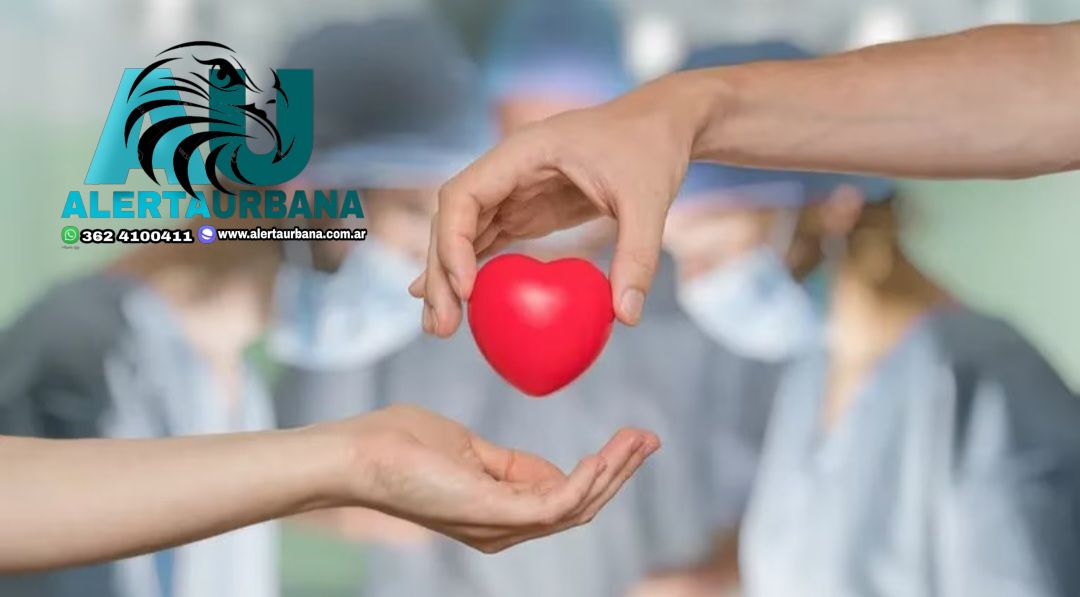 Día Nacional de la Donación de Órganos y Tejidos: por qué se celebra el 30 de mayo