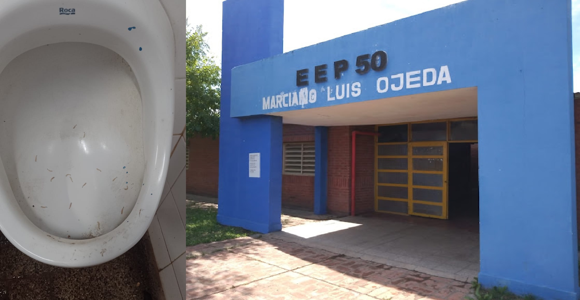 “Hay gusanos en los inodoros”: Padres denuncian mal estado de los baños en la Escuela 50 de villa Don Andrés