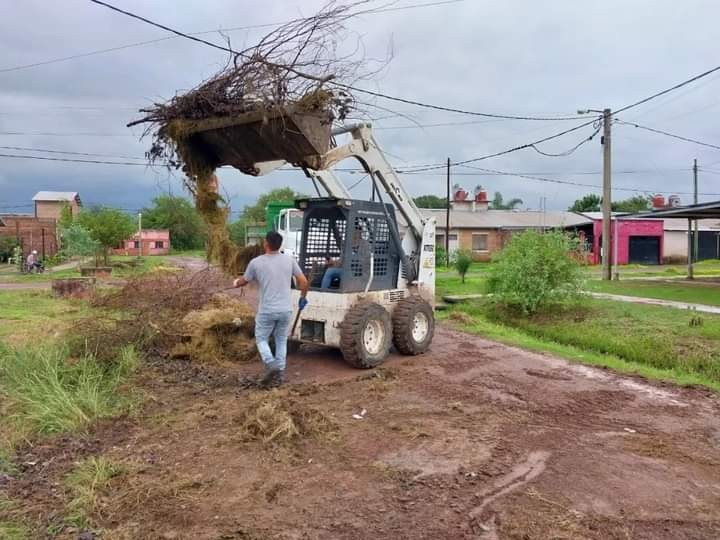 Limpieza, Poda y desmalezamiento realiza la Municipalidad de Barranqueras