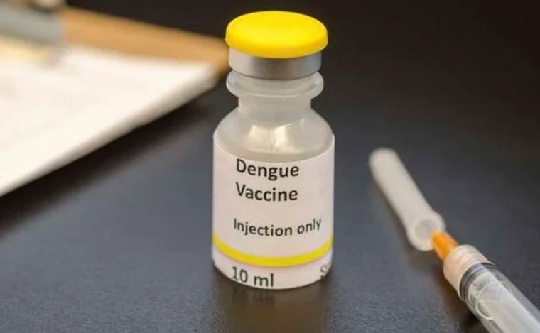 “La vacunación es una de las estrategias pero no la más importante”, dijo Rodríguez por el anuncio de inmunizar contra el dengue