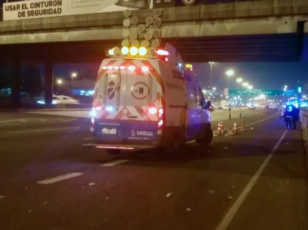 Siniestro fatal en la Panamericana: una mujer murió atropellada por un camión 