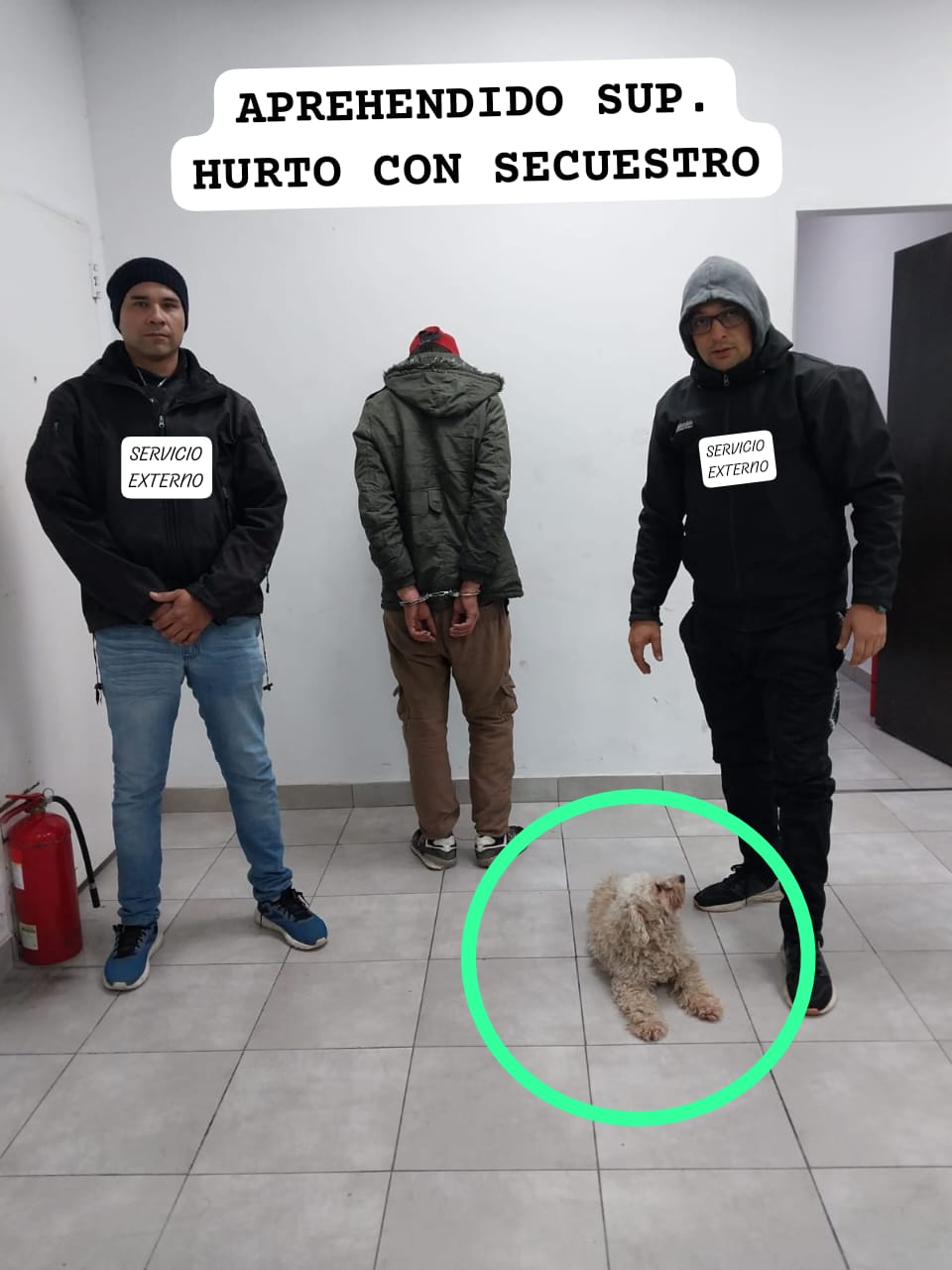 Resistencia: Lo detuvieron poco después que robara una perra caniche