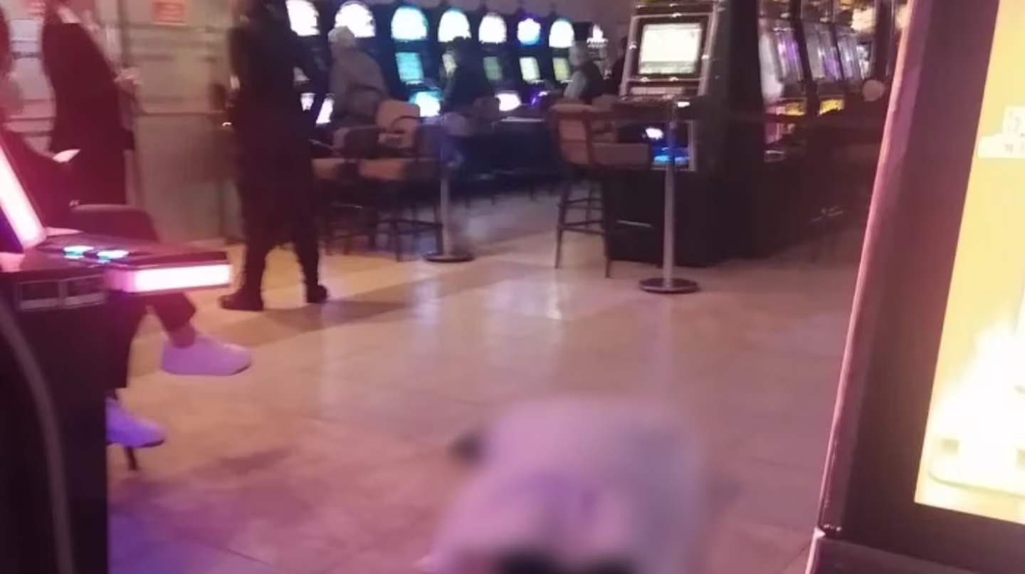 Una mujer murió en un bingo y los jugadores siguieron apostando al lado del cuerpo