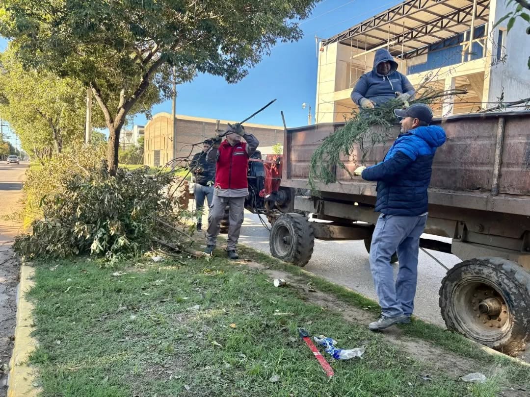 El municipio de Fontana intensifica tareas de mantenimiento urbano en avenidas clave