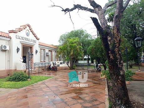 Padres de alumnos la escuela Nº 2 piden que se extraiga un árbol seco