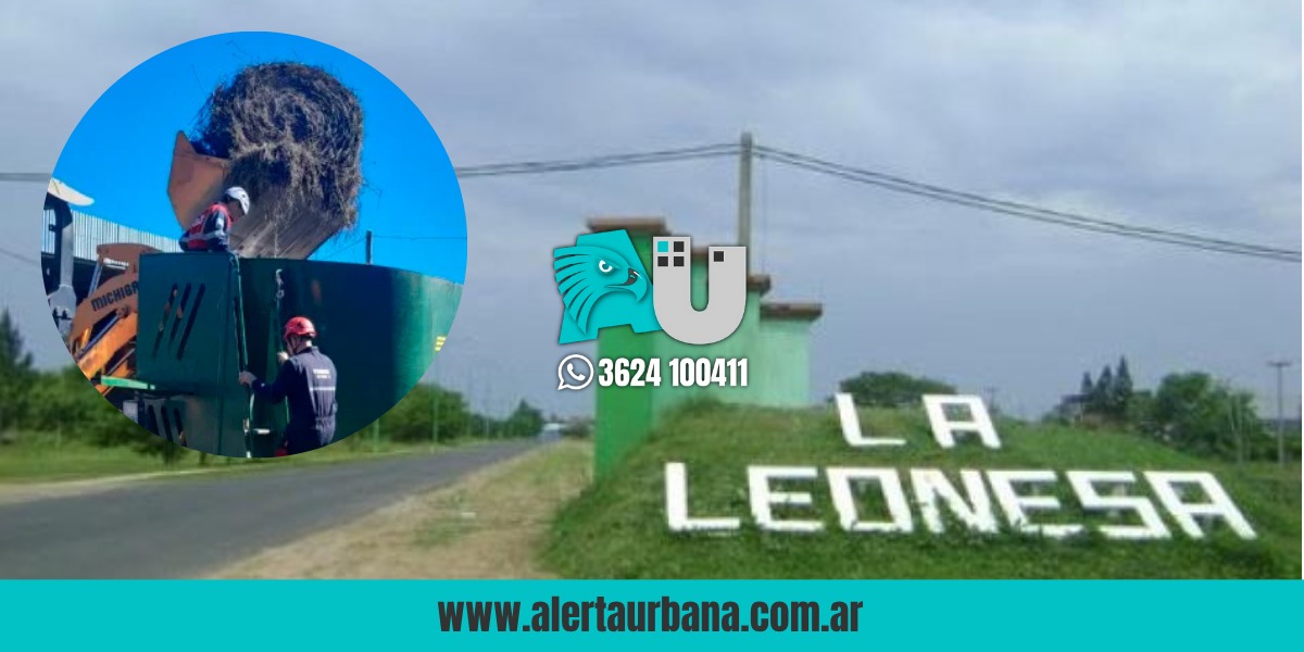  La Leonesa: joven murió al caer en una trituradora mientras trabajaba