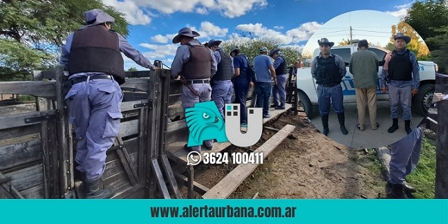 Presidencia de la Plaza: secuestraron animales y vehículo, y detuvieron al propietario por oponer resistencia