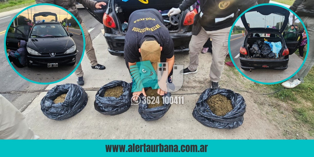 ÚLTIMO MOMENTO: Incautan 7 kilos de marihuana en operativo cerca de Margarita Belén