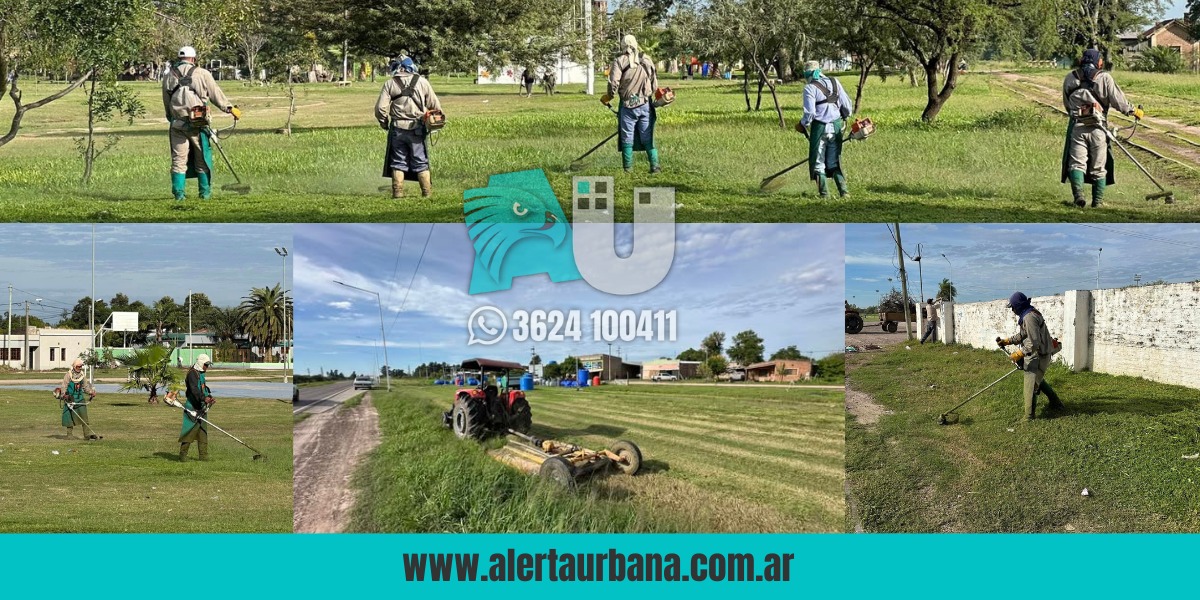 El municipio de Presidencia de la Plaza avanza con tareas de mantenimiento en espacios verdes 