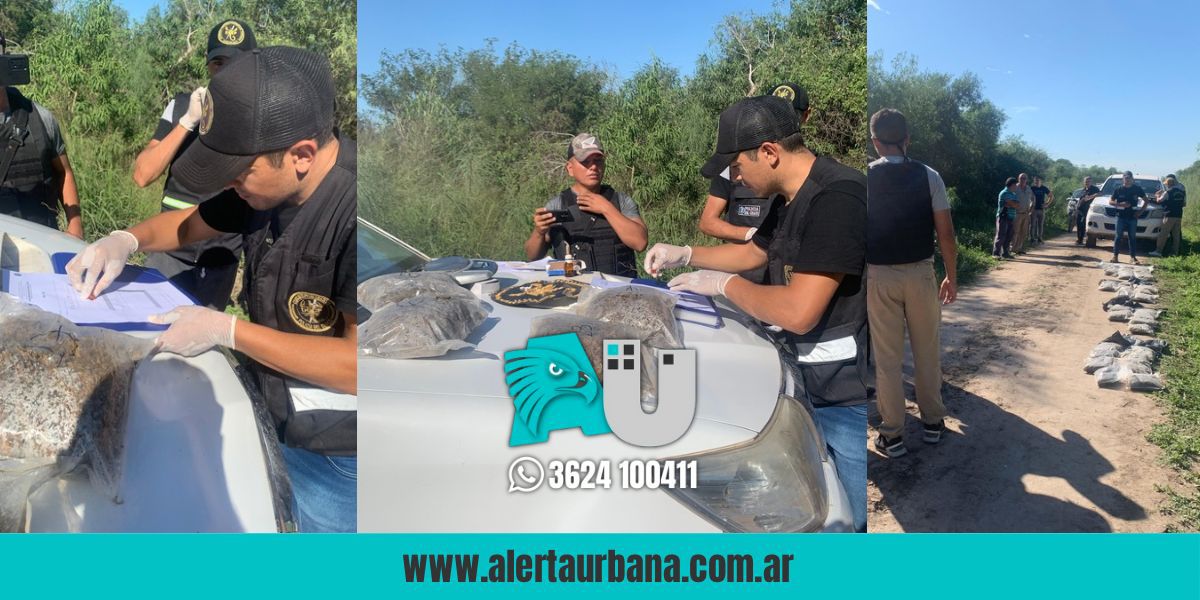 Detenidos tras descubrir un cargamento de Cannabis Sativa en Santa Sylvina