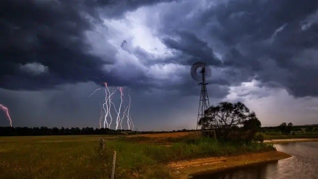  Resistencia: Fuerte temporal derribó un pilar de luz y un árbol en la veterinaria municipal  