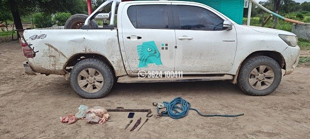 Castelli: tenían manchas de sangre en la camioneta y restos de un ternero   