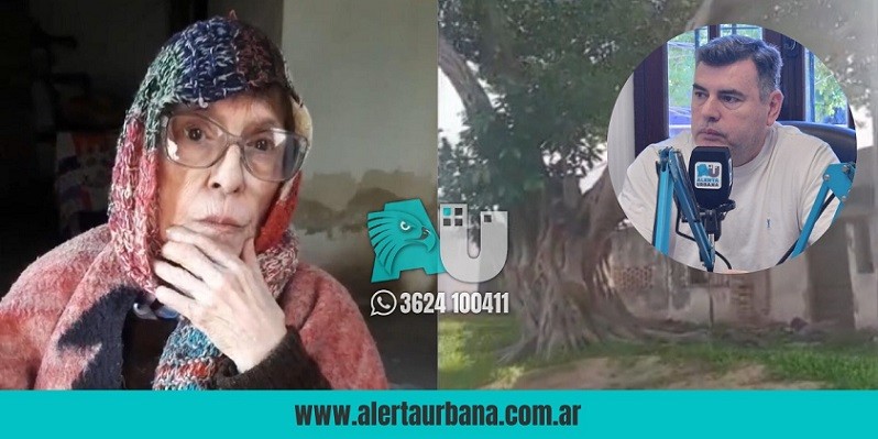 Una vecina teme que un árbol caiga sobre su casa y Aradas se comprometió a quitarlo