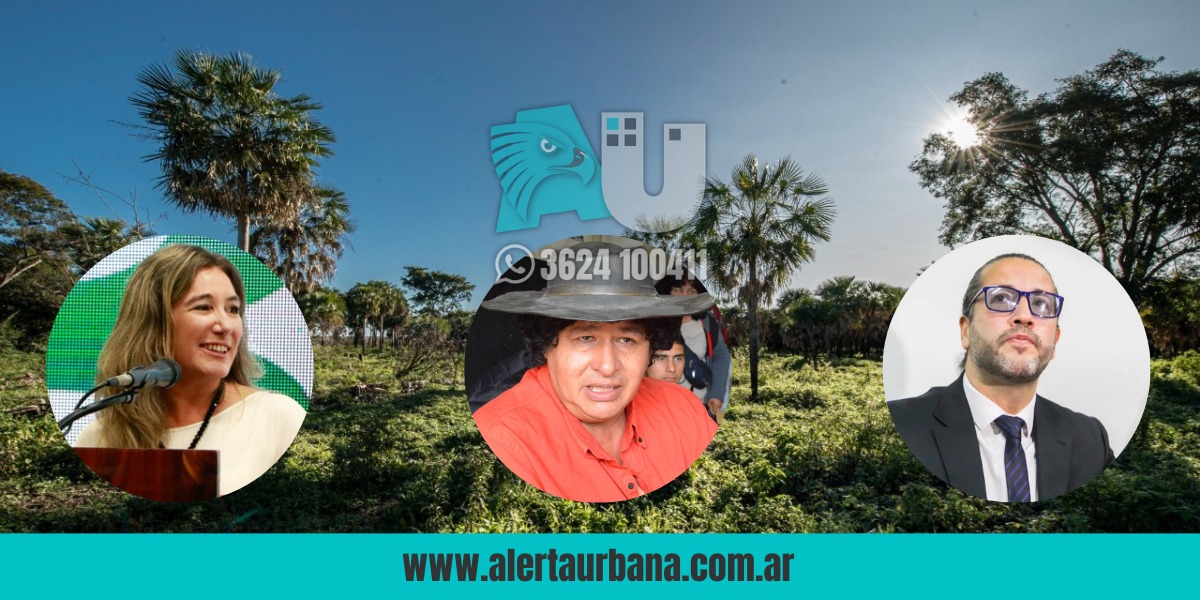  Otra vez zafó Soneira