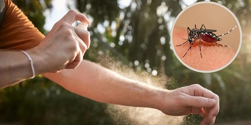El Sauzalito: La provincia analiza dos casos probables de dengue