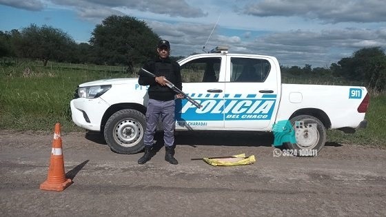En Charadai atraparon a un cazador furtivo que llevaba una cola de yacaré  