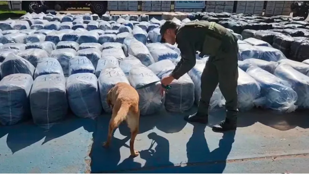 Golpe al contrabando en Córdoba: secuestraron 7000 kilos de hojas de coca escondidos en un camión