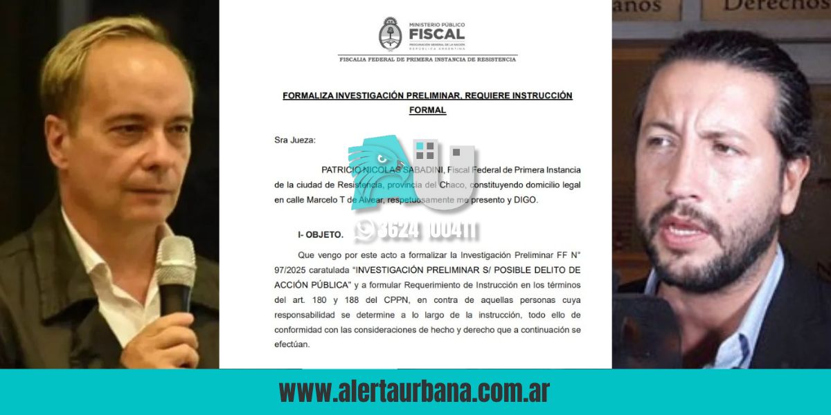 Aportes irregulares para financiar a La Libertad Avanza: Sabadini inició investigación al PAMI y Anses