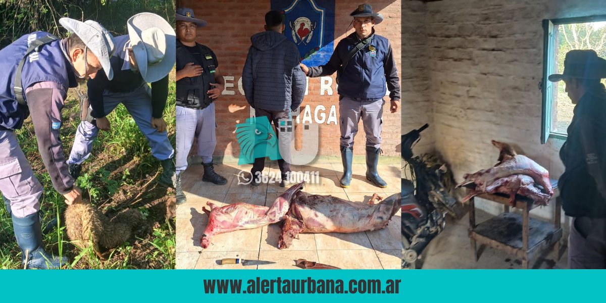 Abigeato en Quitilipi: detienen a un joven con carne faenada y manchas de sangre en las manos