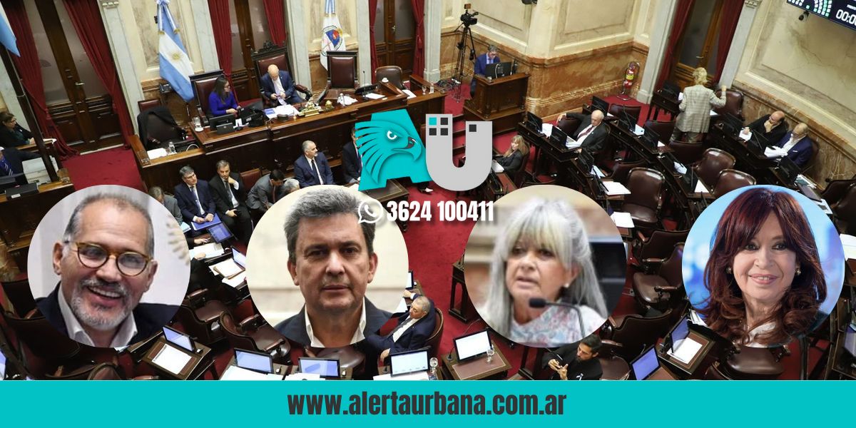 Cayó Ficha Limpia en el Senado y CFK podrá ser candidata ¿Cómo votaron los chaqueños?