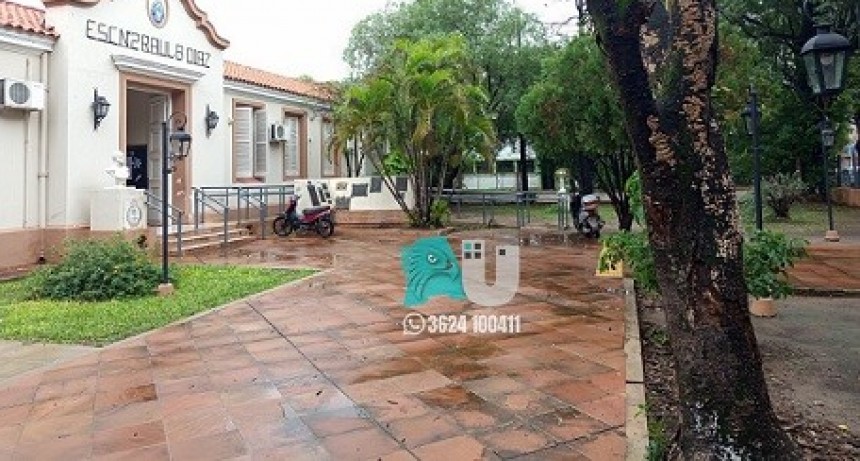Padres de alumnos la escuela Nº 2 piden que se extraiga un árbol seco