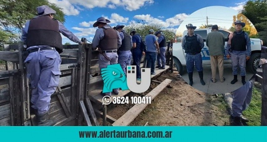 Presidencia de la Plaza: secuestraron animales y vehículo, y detuvieron al propietario por oponer resistencia