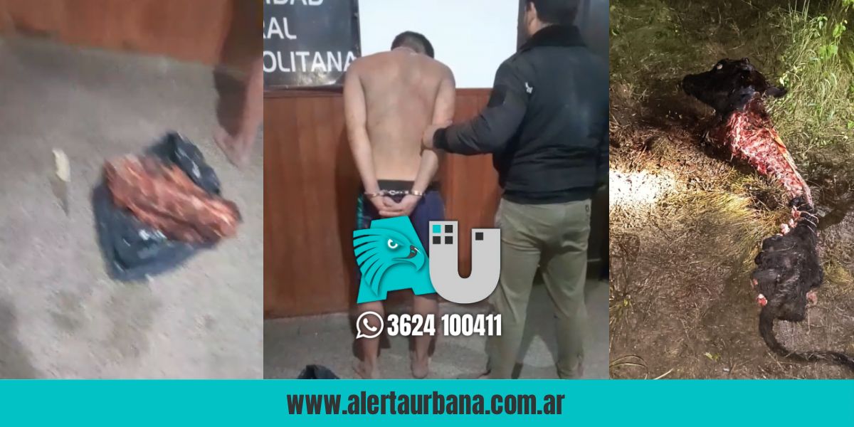 Detienen a un hombre por faena clandestina y agresión a un policía en Puerto Tirol