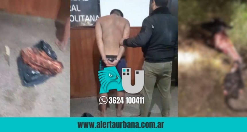 Detienen a un hombre por faena clandestina y agresión a un policía en Puerto Tirol