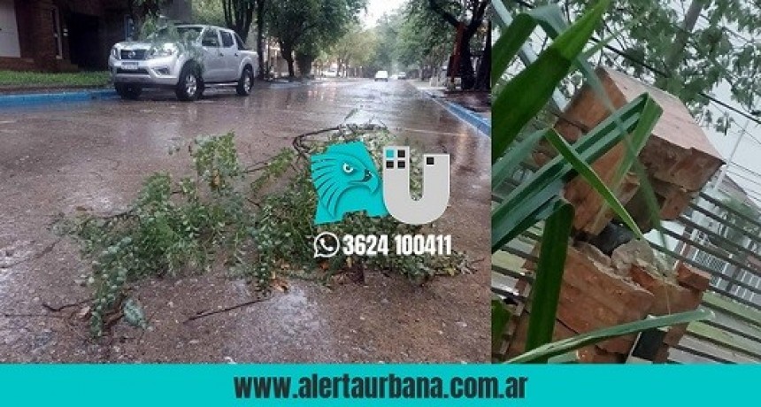 Ante un temporal, Alerta Urbana te recuerda cuáles son las líneas de emergencias